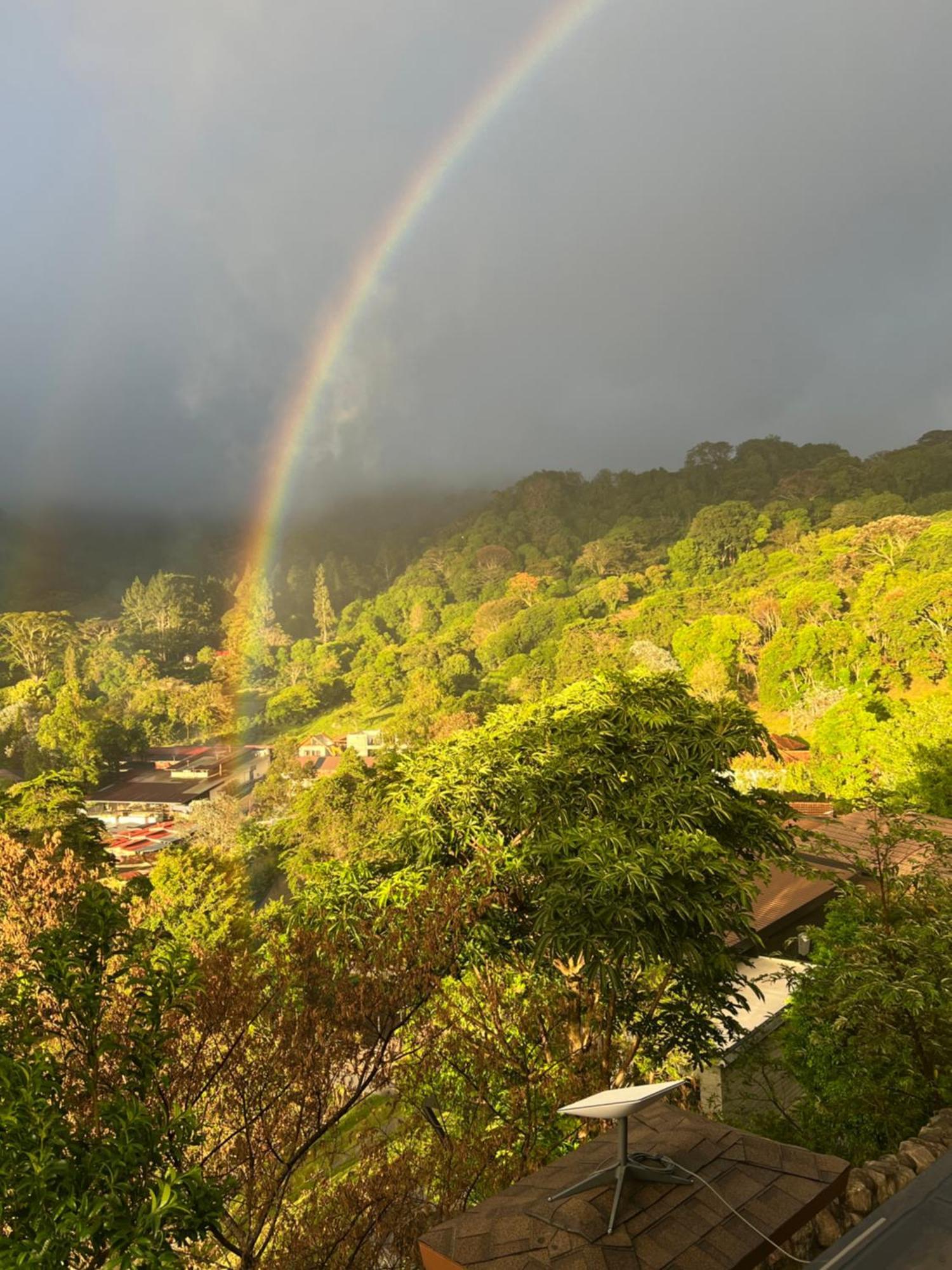 Rainbow Iris * Los Naranjos
